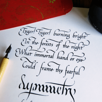 Tyger Tyger Square Clutter 1st Verse