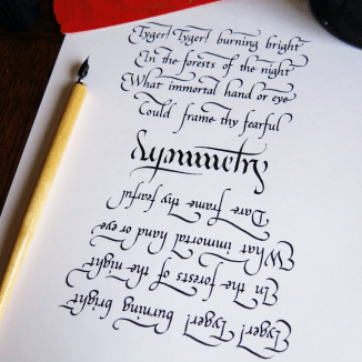 Tyger Tyger Square Clutter